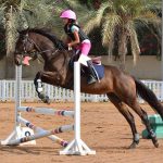 رياضة الفروسية-قفز الحواجز-Horse Riding-Equestrian