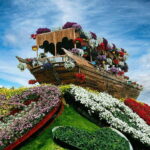 Trip to Miracle Garden