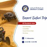 Desert Trip Safari